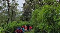 Coffee Plantation